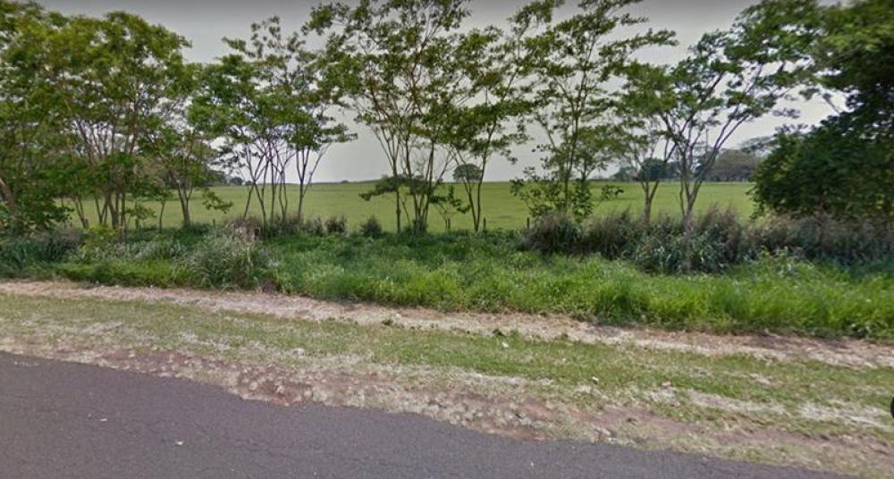 Comprar Terreno / Área em Neves Paulista R$ 660.000,00 - Foto 4