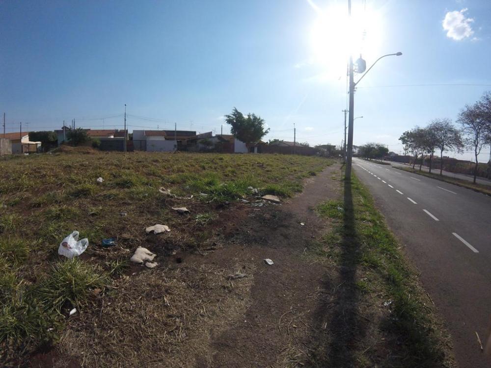 Comprar Terreno / Área em São José do Rio Preto apenas R$ 618.000,00 - Foto 7