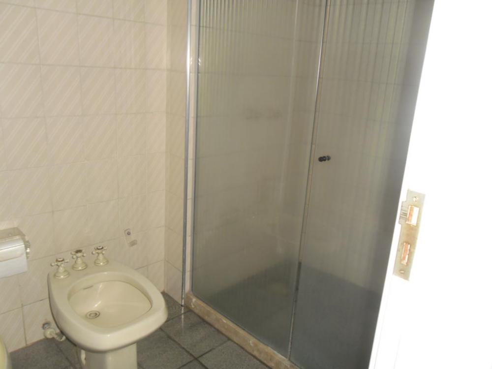 Alugar Apartamento / Padrão em São José do Rio Preto apenas R$ 2.000,00 - Foto 19