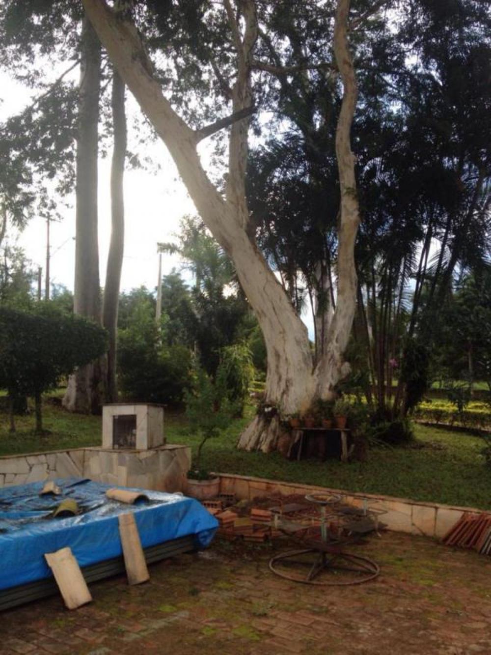 Comprar Rural / Chácara em São José do Rio Preto R$ 2.350.000,00 - Foto 11