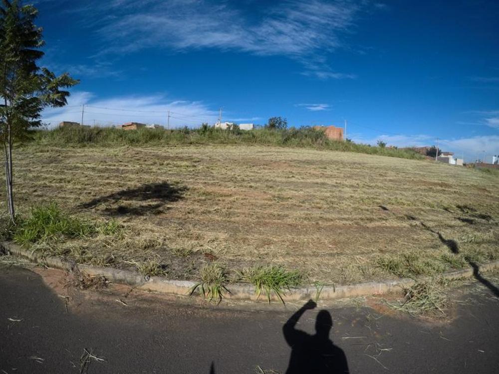 Comprar Terreno / Padrão em Bady Bassitt R$ 73.500,00 - Foto 1