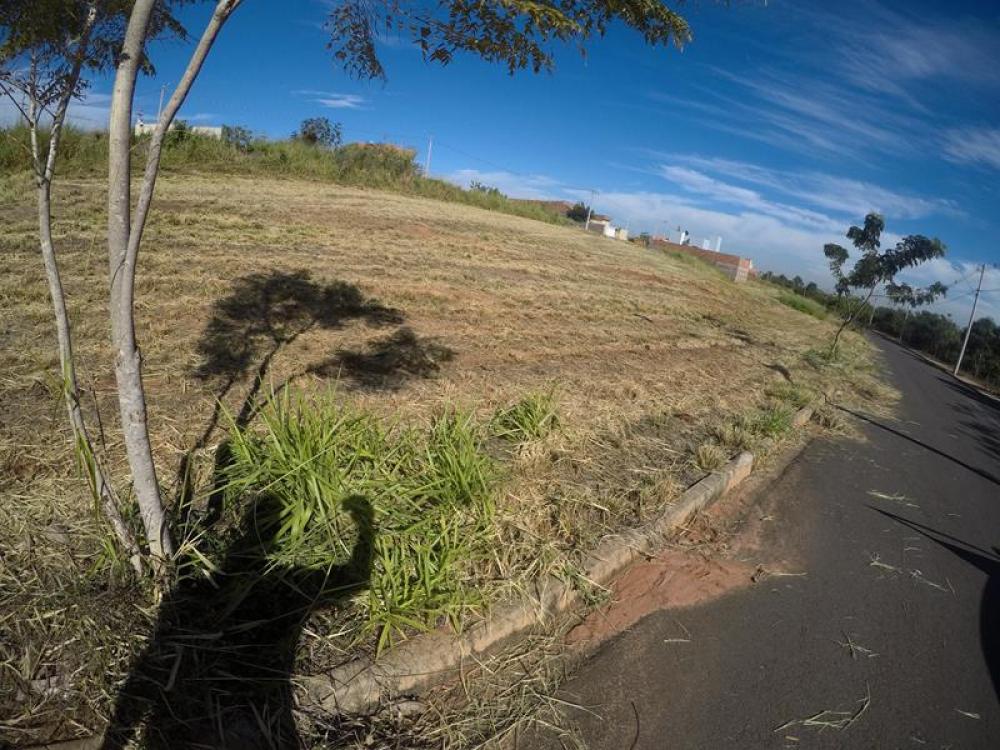 Comprar Terreno / Padrão em Bady Bassitt apenas R$ 77.000,00 - Foto 2