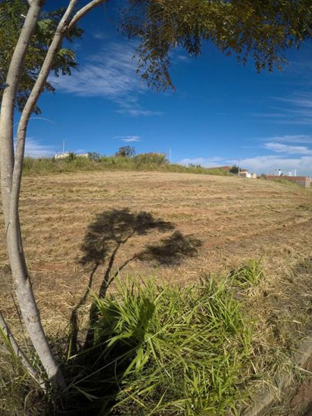 Comprar Terreno / Padrão em Bady Bassitt apenas R$ 73.500,00 - Foto 3