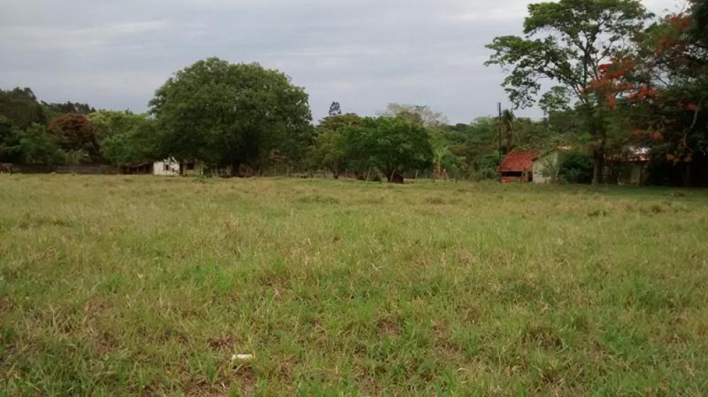 Comprar Rural / Chácara em São José do Rio Preto R$ 2.000.000,00 - Foto 3