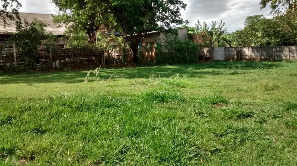 Comprar Rural / Chácara em São José do Rio Preto R$ 2.000.000,00 - Foto 7