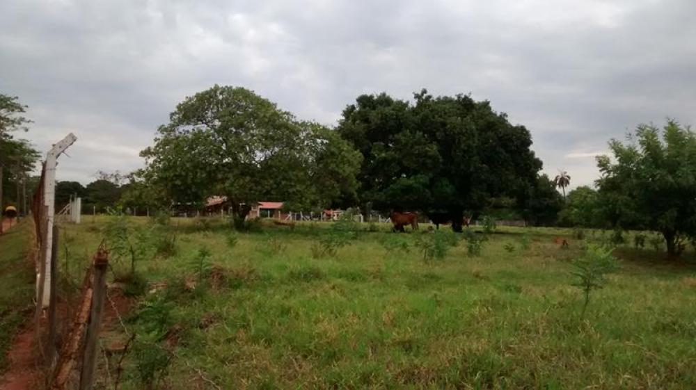 Comprar Rural / Chácara em São José do Rio Preto R$ 2.000.000,00 - Foto 12