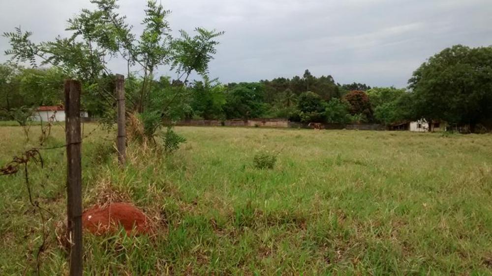 Comprar Rural / Chácara em São José do Rio Preto R$ 2.000.000,00 - Foto 27