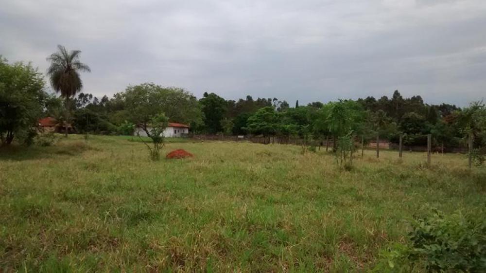 Comprar Rural / Chácara em São José do Rio Preto R$ 2.000.000,00 - Foto 31