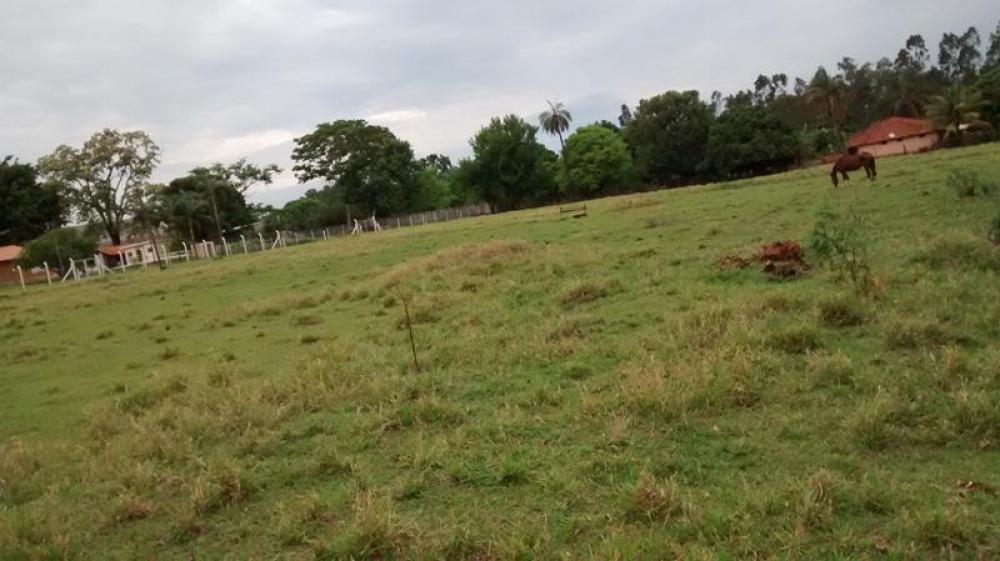 Comprar Rural / Chácara em São José do Rio Preto R$ 2.000.000,00 - Foto 32