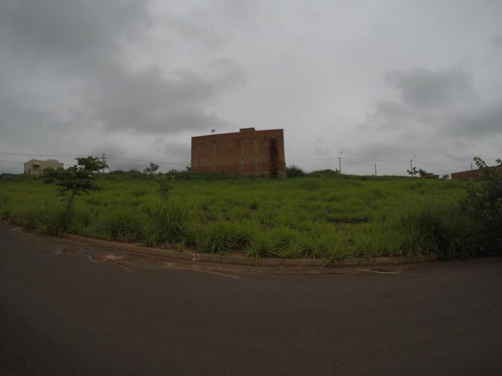 Comprar Terreno / Padrão em Bady Bassitt R$ 60.000,00 - Foto 2