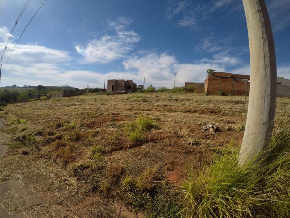 Comprar Terreno / Padrão em Bady Bassitt R$ 55.000,00 - Foto 1