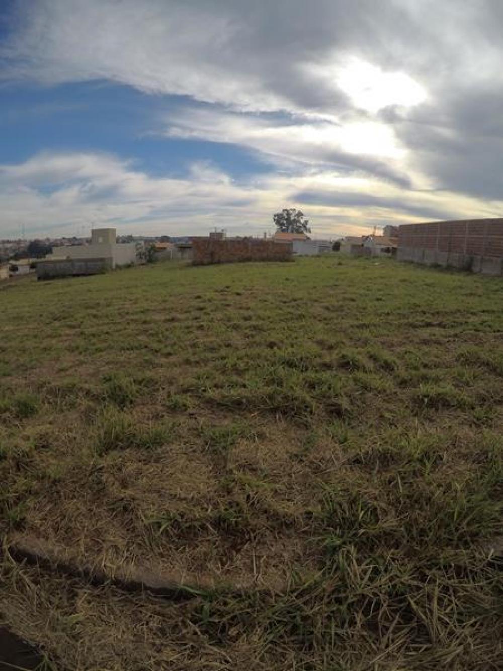 Comprar Terreno / Padrão em Bady Bassitt apenas R$ 99.000,00 - Foto 3