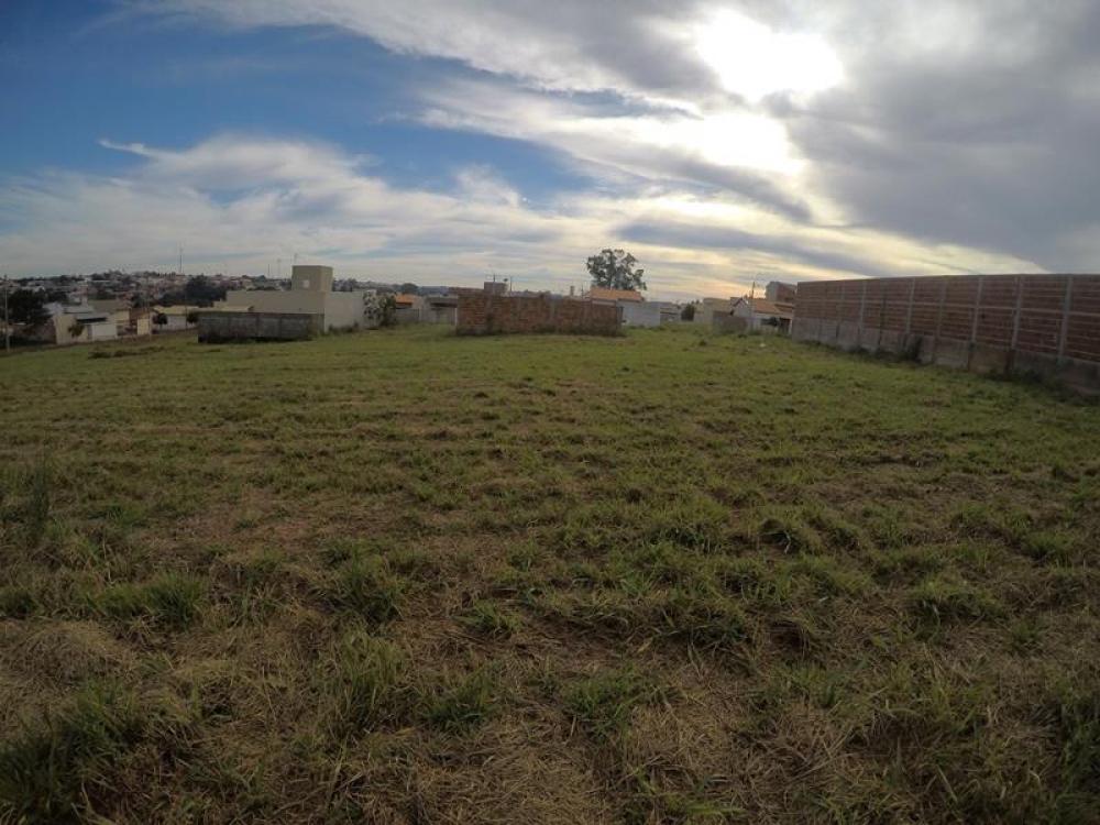 Comprar Terreno / Padrão em Bady Bassitt R$ 100.000,00 - Foto 4