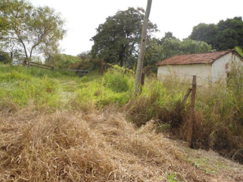 Comprar Rural / Sítio em São José do Rio Preto R$ 16.000.000,00 - Foto 2