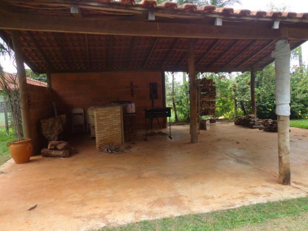 Comprar Rural / Chácara em São José do Rio Preto R$ 800.000,00 - Foto 3