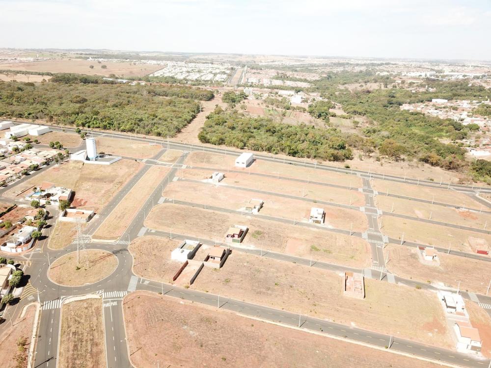 Comprar Terreno / Padrão em São José do Rio Preto R$ 323.500,00 - Foto 7