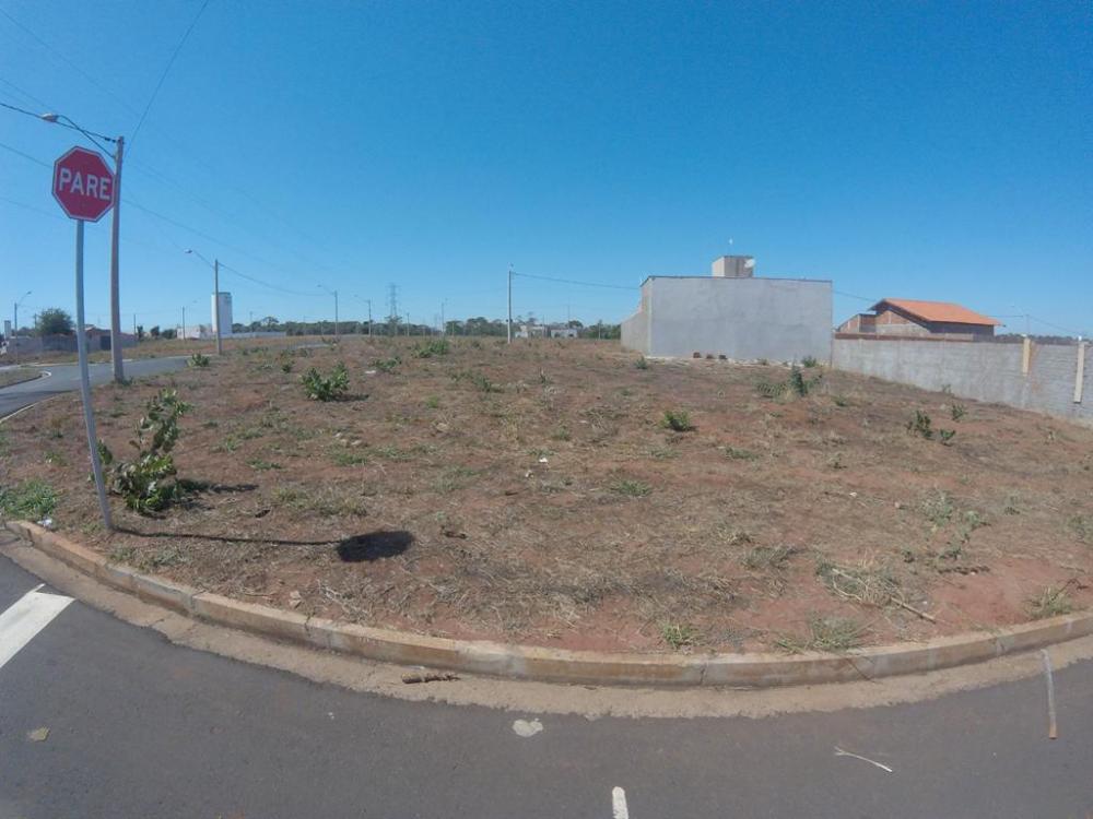 Comprar Terreno / Padrão em São José do Rio Preto R$ 323.500,00 - Foto 10