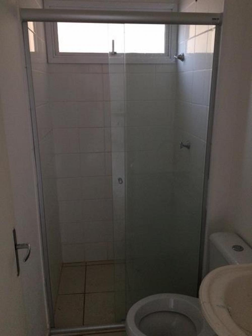 Alugar Apartamento / Padrão em São José do Rio Preto apenas R$ 650,00 - Foto 7