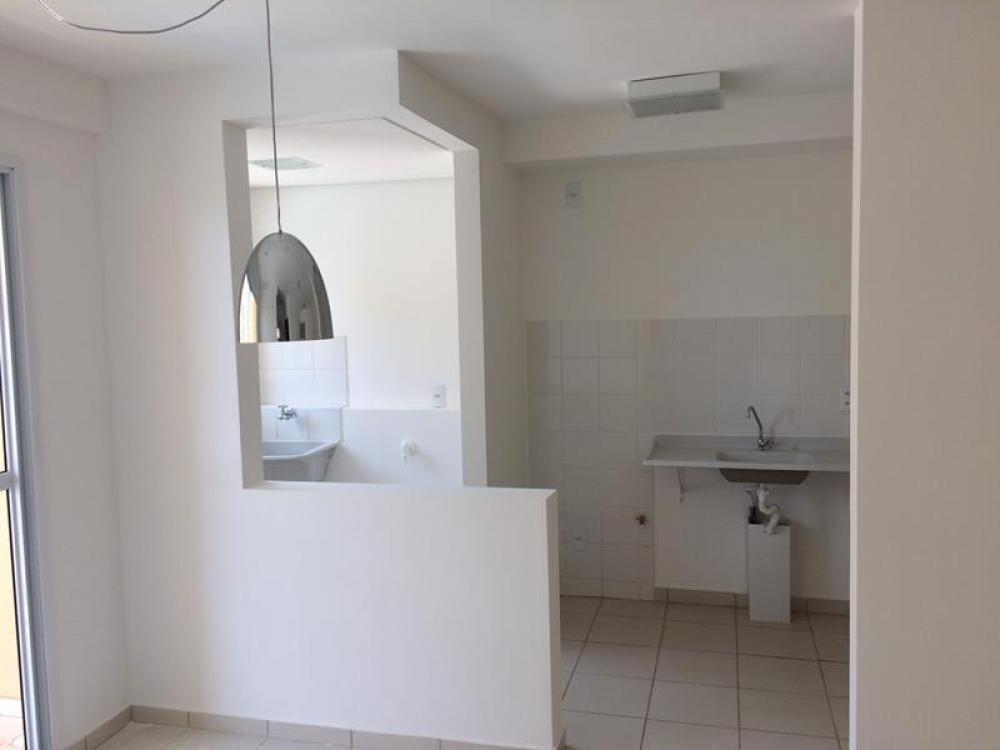 Alugar Apartamento / Padrão em São José do Rio Preto R$ 650,00 - Foto 9