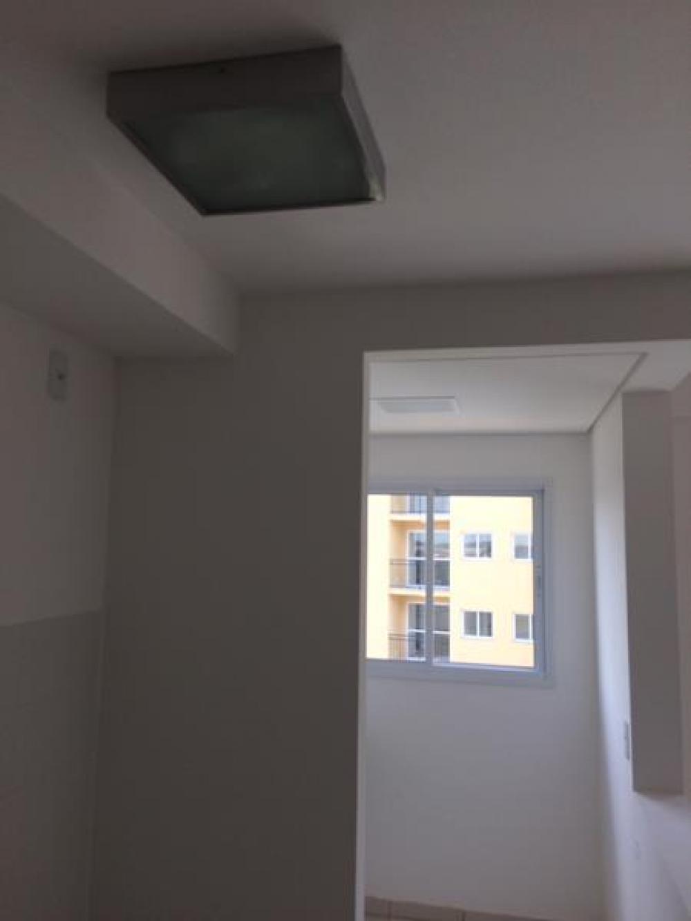 Alugar Apartamento / Padrão em São José do Rio Preto apenas R$ 650,00 - Foto 11