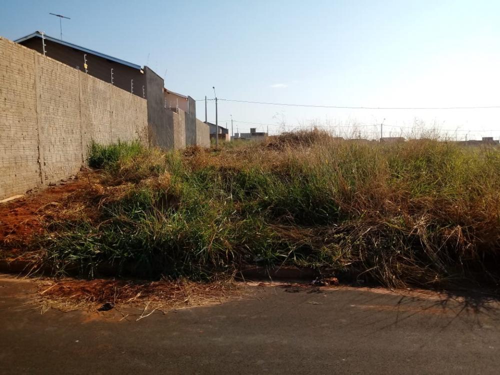 Comprar Terreno / Padrão em São José do Rio Preto apenas R$ 100.000,00 - Foto 1