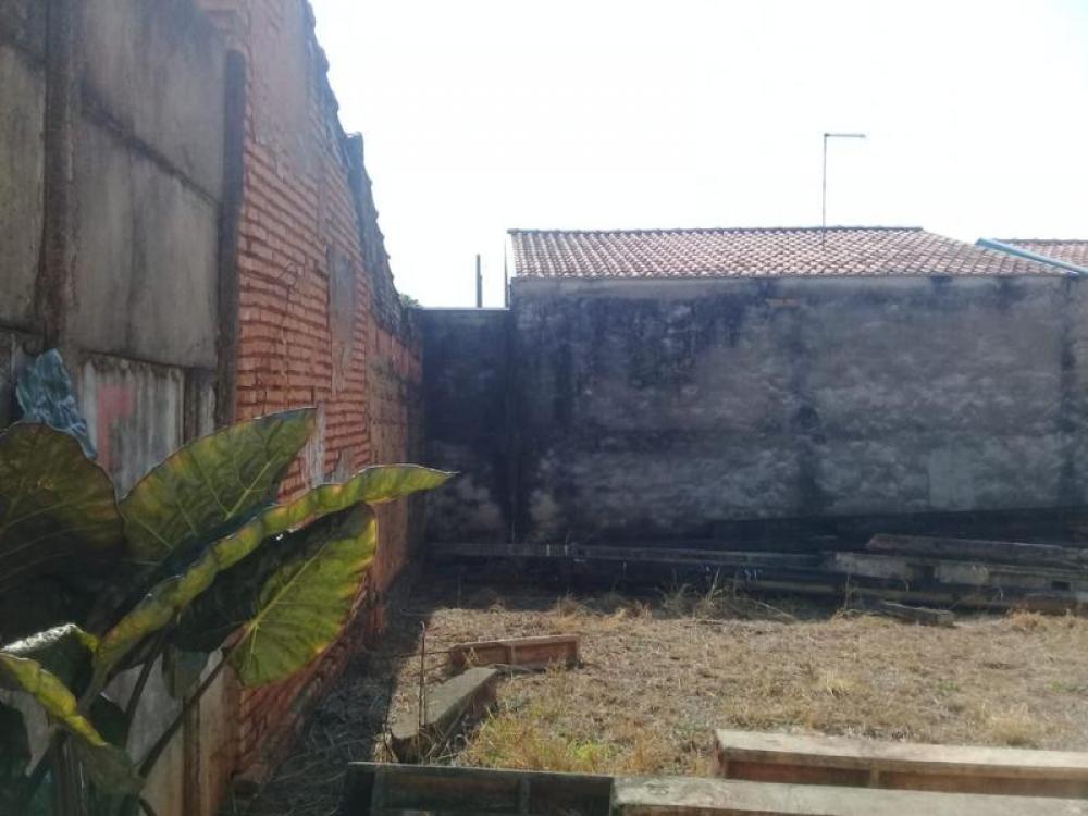 Comprar Terreno / Padrão em São José do Rio Preto R$ 350.000,00 - Foto 2