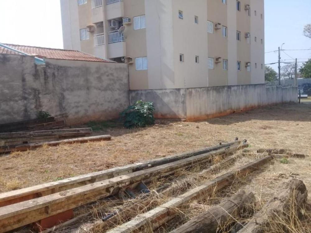 Comprar Terreno / Padrão em São José do Rio Preto apenas R$ 350.000,00 - Foto 3