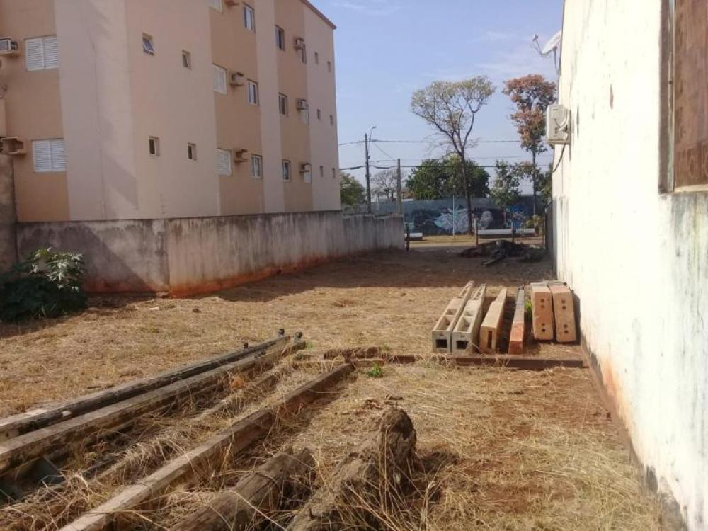 Comprar Terreno / Padrão em São José do Rio Preto apenas R$ 350.000,00 - Foto 4