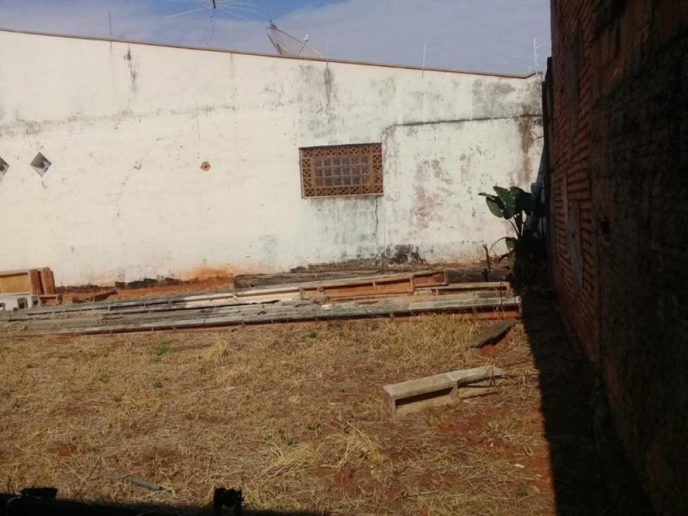 Comprar Terreno / Padrão em São José do Rio Preto apenas R$ 350.000,00 - Foto 6