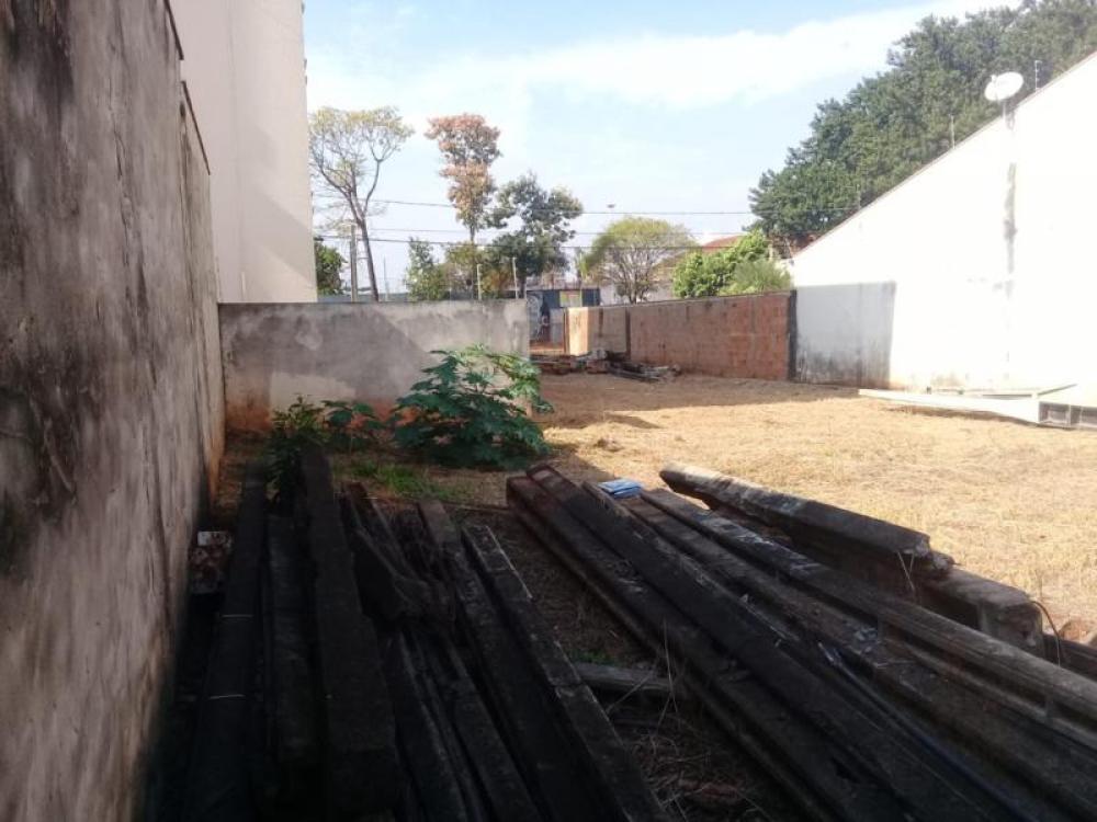 Comprar Terreno / Padrão em São José do Rio Preto R$ 350.000,00 - Foto 7