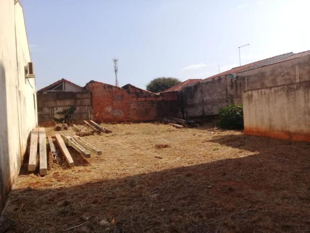 Comprar Terreno / Padrão em São José do Rio Preto R$ 350.000,00 - Foto 8