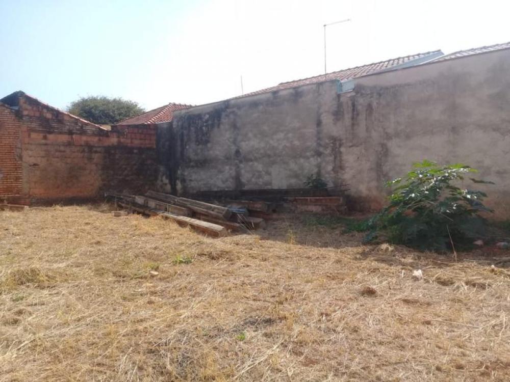 Comprar Terreno / Padrão em São José do Rio Preto R$ 350.000,00 - Foto 9