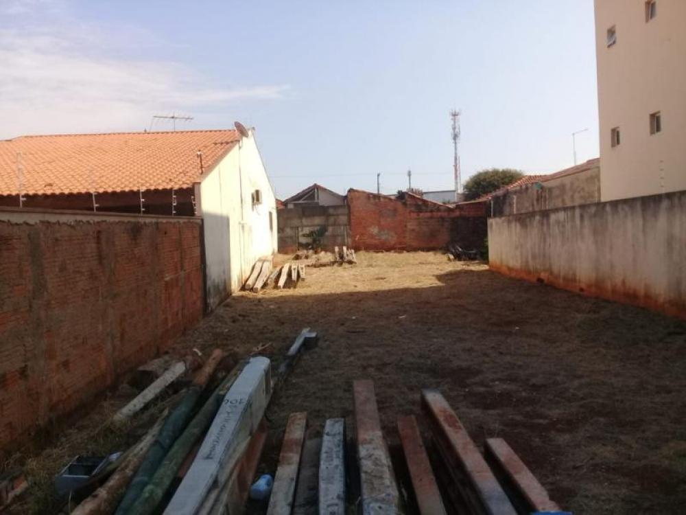 Comprar Terreno / Padrão em São José do Rio Preto apenas R$ 350.000,00 - Foto 12