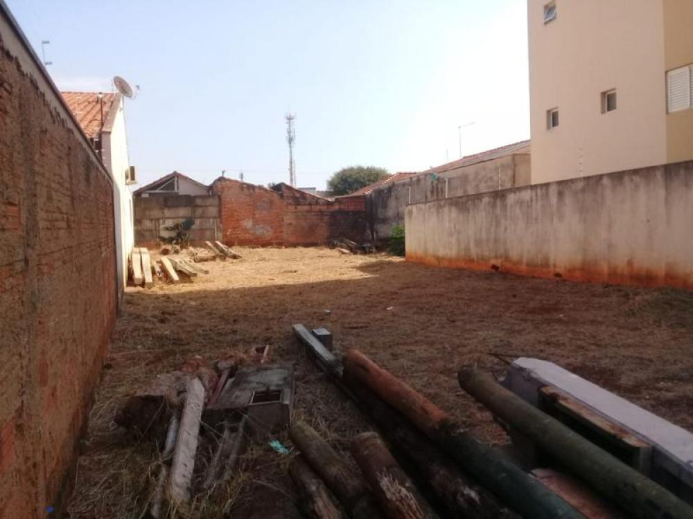 Comprar Terreno / Padrão em São José do Rio Preto R$ 350.000,00 - Foto 10