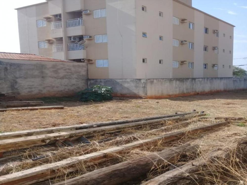 Comprar Terreno / Padrão em São José do Rio Preto apenas R$ 350.000,00 - Foto 14