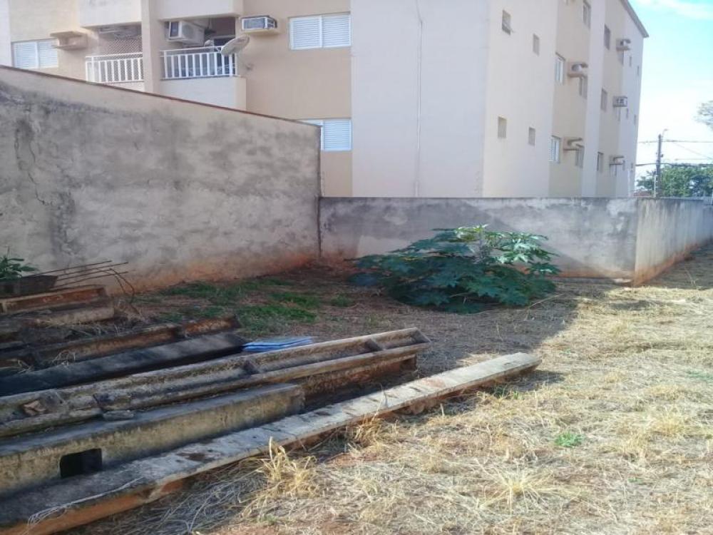 Comprar Terreno / Padrão em São José do Rio Preto R$ 350.000,00 - Foto 21