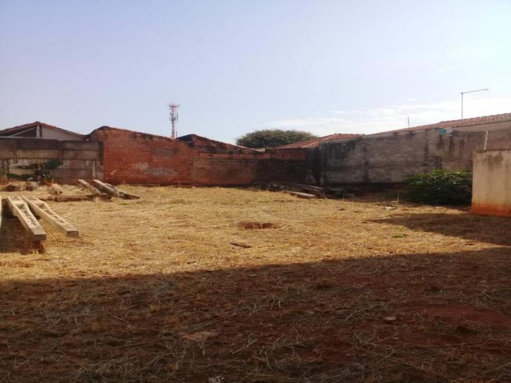 Comprar Terreno / Padrão em São José do Rio Preto R$ 350.000,00 - Foto 23