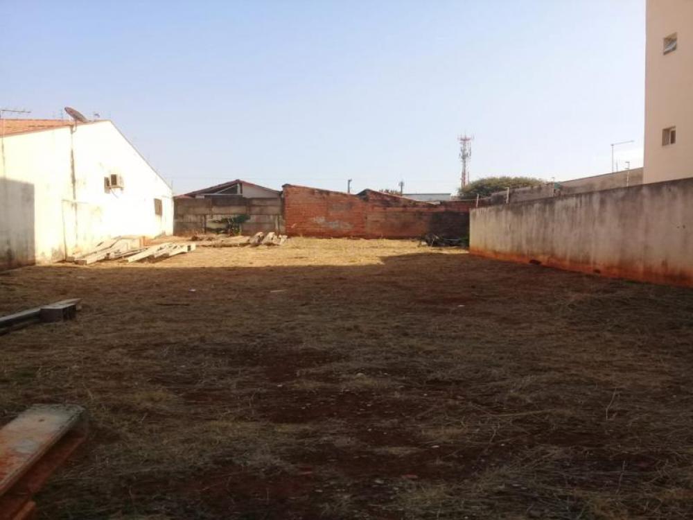 Comprar Terreno / Padrão em São José do Rio Preto apenas R$ 350.000,00 - Foto 24