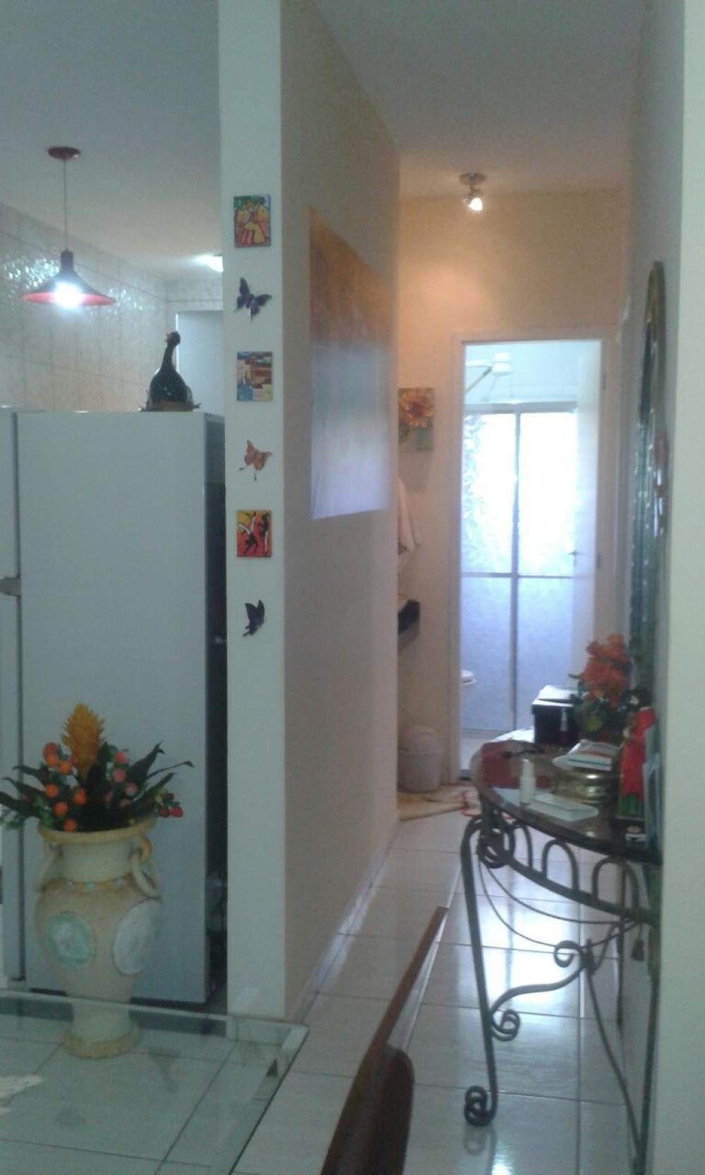 Comprar Apartamento / Padrão em São José do Rio Preto apenas R$ 220.000,00 - Foto 11