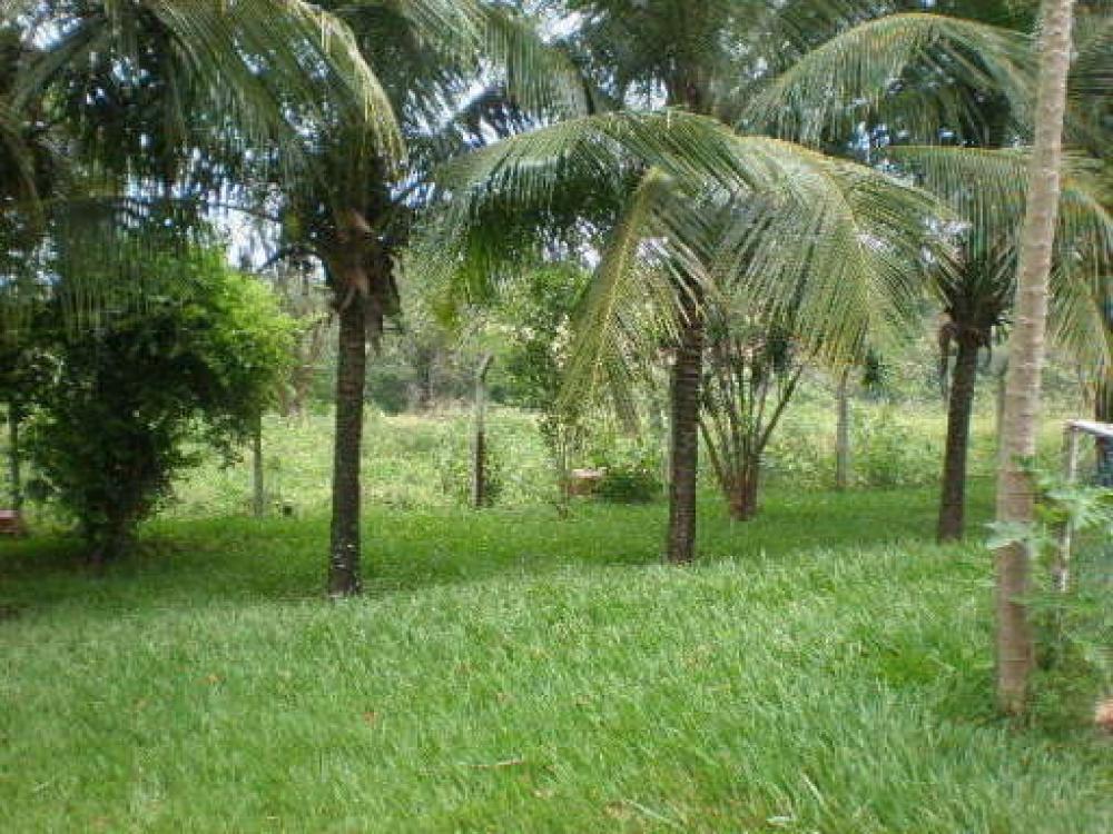 Comprar Rural / Chácara em Ipiguá R$ 3.000.000,00 - Foto 5