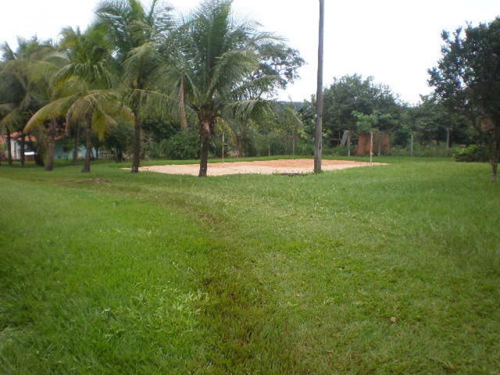 Comprar Rural / Chácara em Ipiguá R$ 3.000.000,00 - Foto 12
