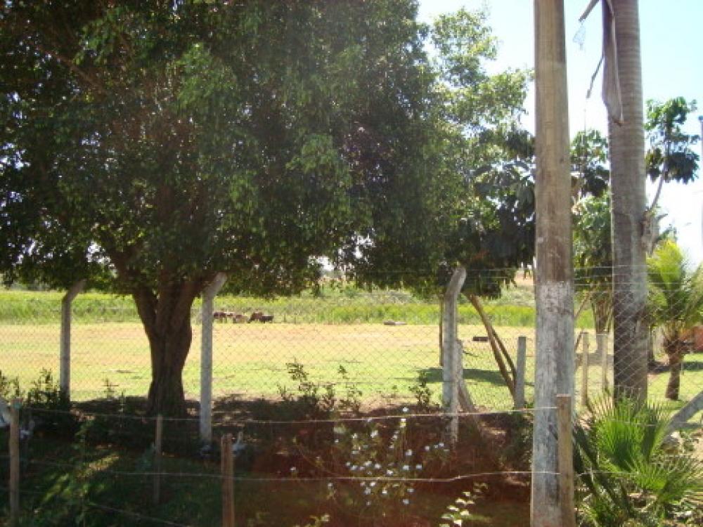 Comprar Rural / Chácara em São José do Rio Preto R$ 1.250.000,00 - Foto 22