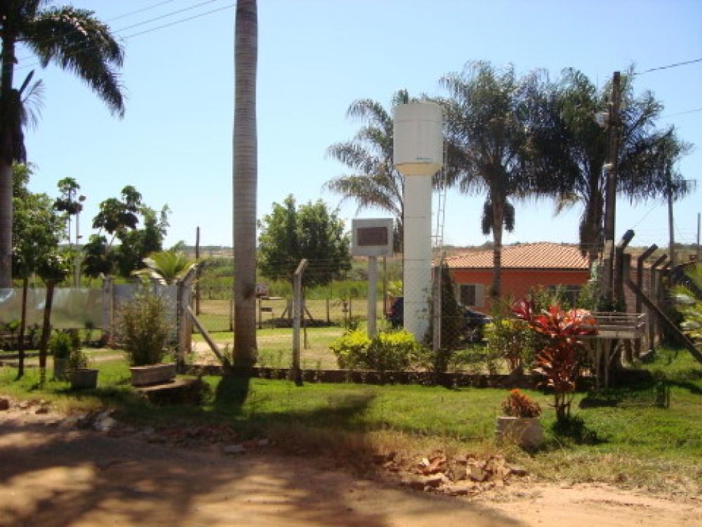 Comprar Rural / Chácara em São José do Rio Preto R$ 1.250.000,00 - Foto 23