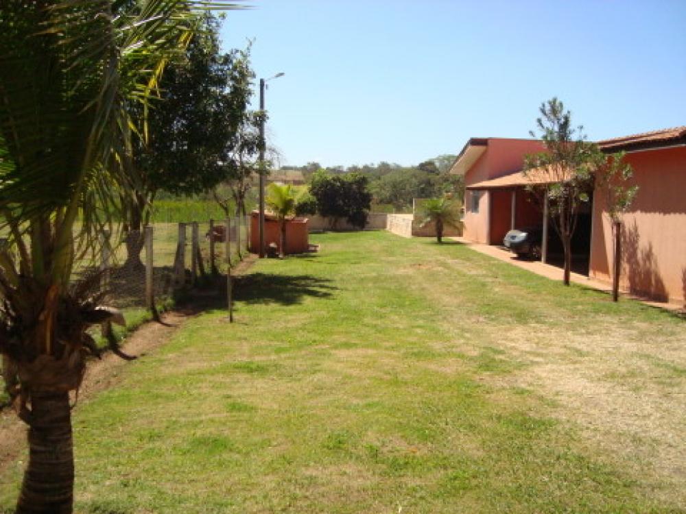 Comprar Rural / Chácara em São José do Rio Preto R$ 1.250.000,00 - Foto 27