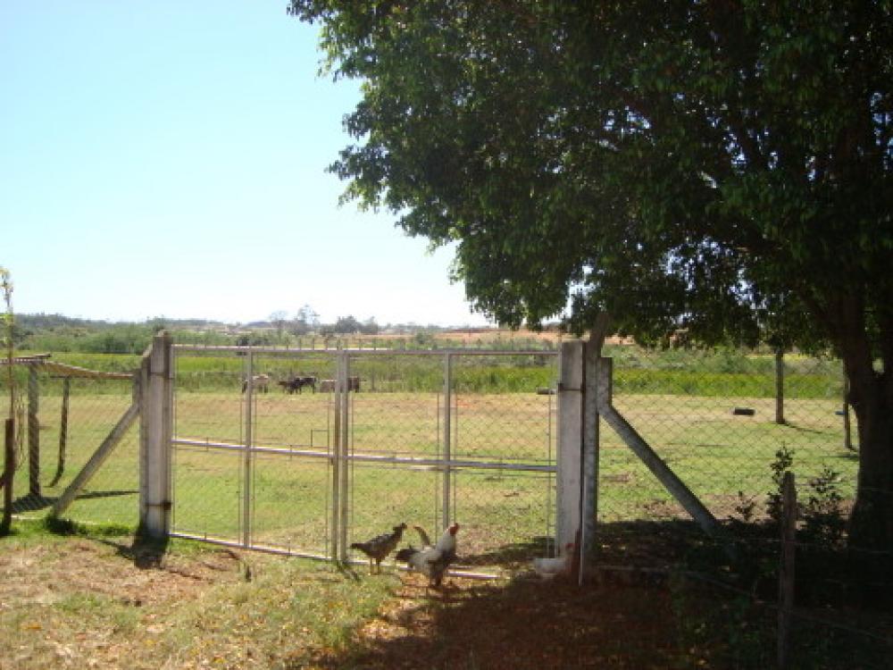 Comprar Rural / Chácara em São José do Rio Preto R$ 1.250.000,00 - Foto 33