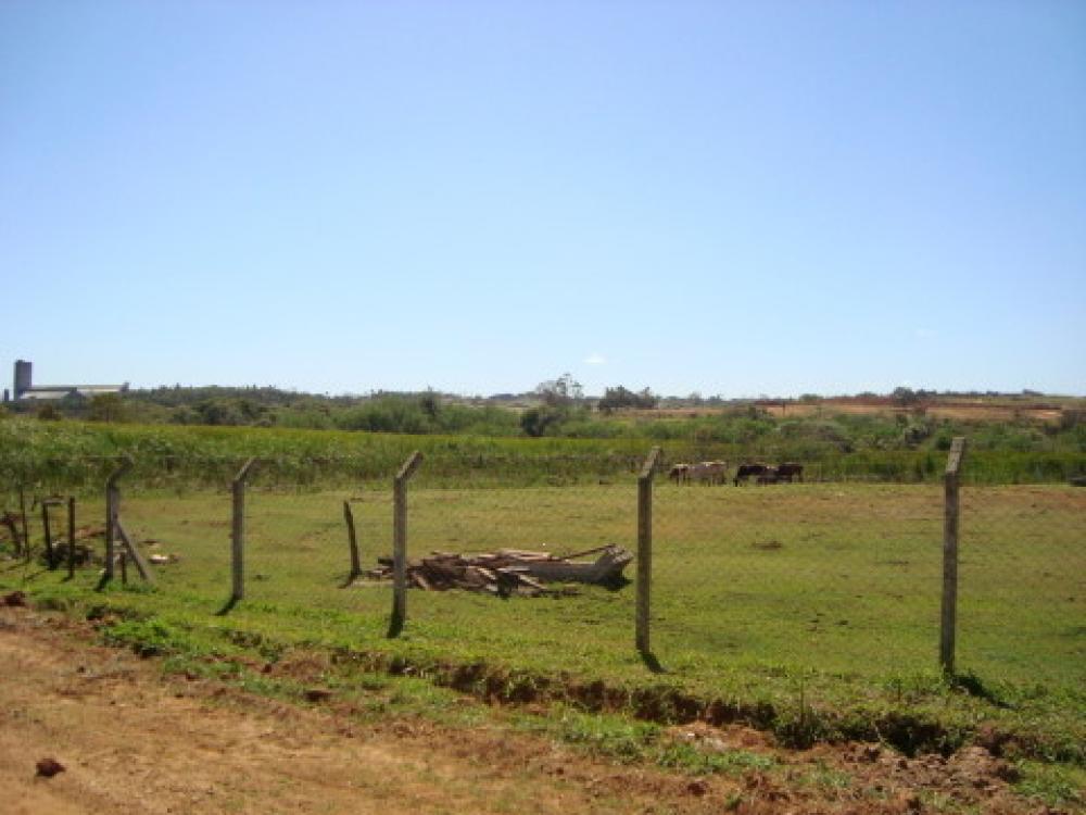 Comprar Rural / Chácara em São José do Rio Preto R$ 1.250.000,00 - Foto 34