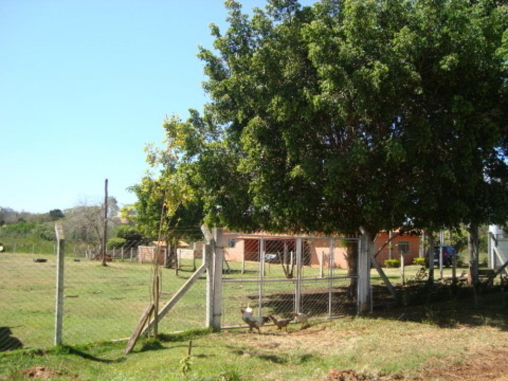 Comprar Rural / Chácara em São José do Rio Preto R$ 1.250.000,00 - Foto 35