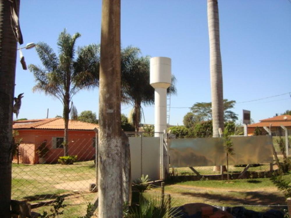 Comprar Rural / Chácara em São José do Rio Preto R$ 1.250.000,00 - Foto 37