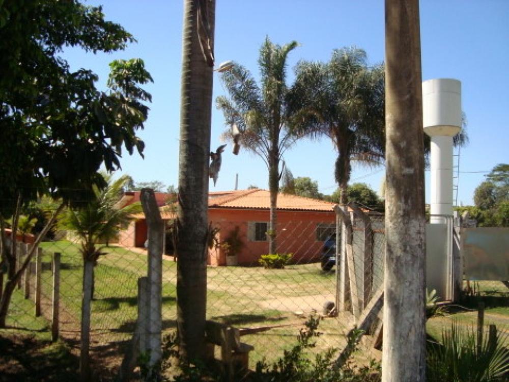 Comprar Rural / Chácara em São José do Rio Preto R$ 1.250.000,00 - Foto 38