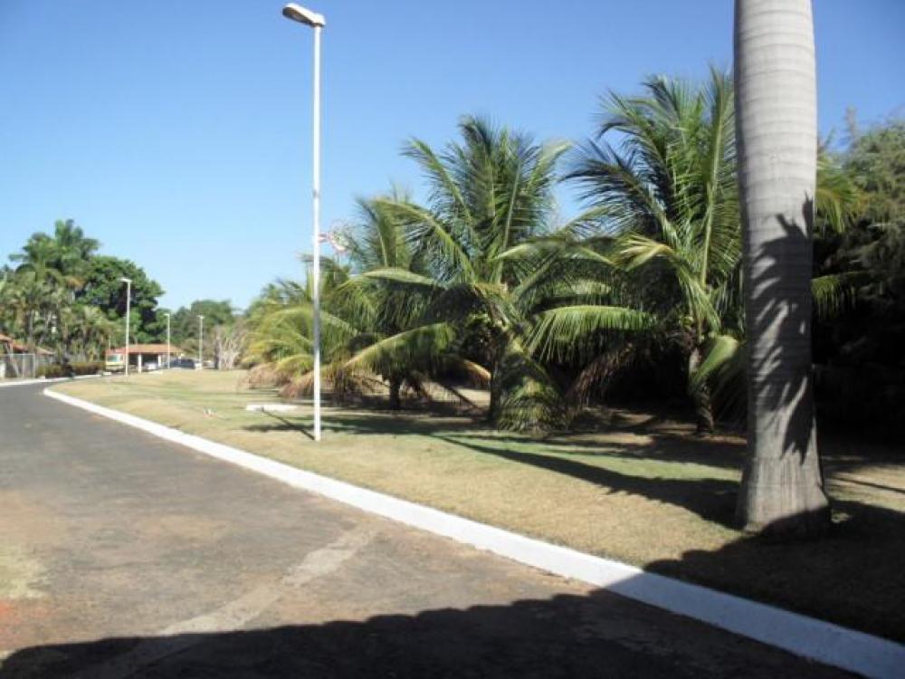 Comprar Rural / Chácara em São José do Rio Preto R$ 8.000.000,00 - Foto 10